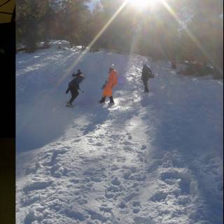 Snowboarding Fun in the Sun