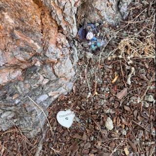 Resting Place Beneath the Oak