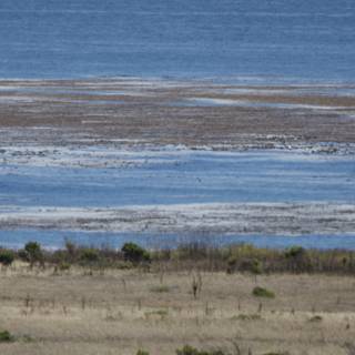 Coastal Serenity in Cayucos