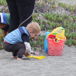 Toddler and Dog Share Curious Beach Moment