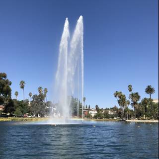 Majestic Fountain in the Heart of a Serene Lake