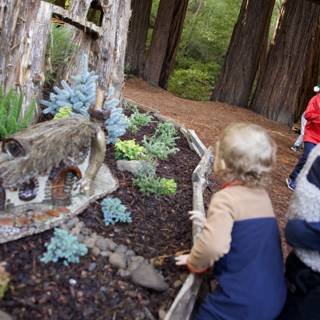 Enchanted Explorers at Thistlewyck
