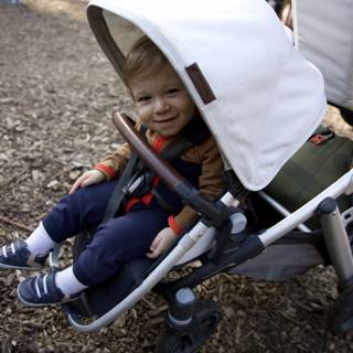 Joyful Stroll at Thistlewyck