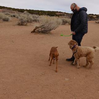 Man and his Canine Companions in the Desert
