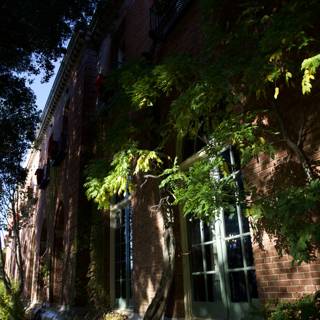 Urban Oasis at Filoli