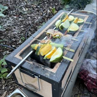 Sizzling Summer Skewers