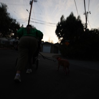 Evening Dog Walk in Suburban Neighborhood at Dusk