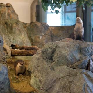 Mirthful Mammals: Otters at the Acquarium of the Bay