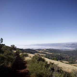 Above the Fog Layer on Mount Diablo Trail