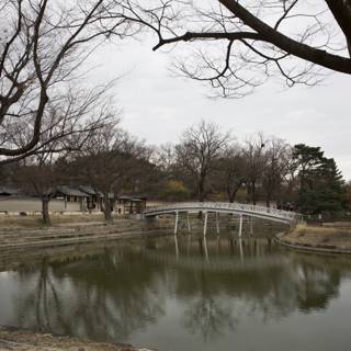 Tranquil Bridge Reflections: A Glimpse of Korea's Harmony