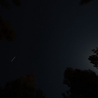 Meteor Streaks Across Star-Filled Night Sky