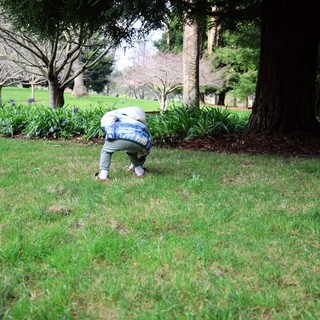 Young Child Exploring Park Grounds on Spring Day