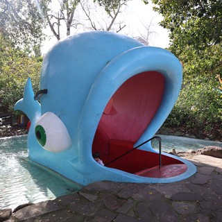 Blue Whale Slide at Abandoned Theme Park Pool