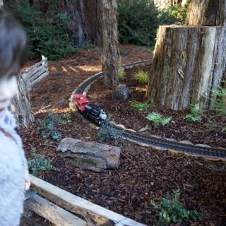 Nature's Miniature Adventure