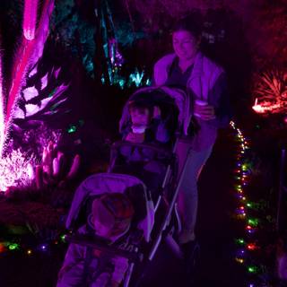Enchanted Evening Stroll