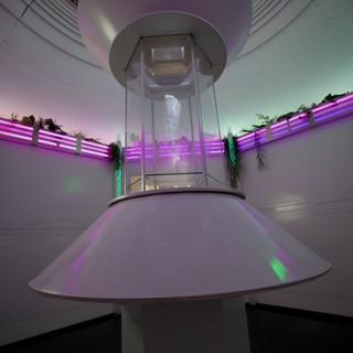 Futuristic UFO Installation with Neon Lighting and Plants