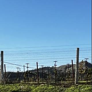 Rural Fence against a Picturesque Hill