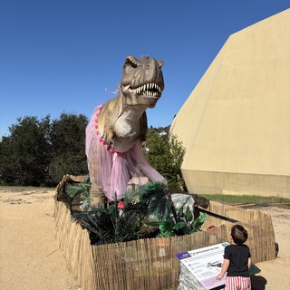 Child Observes T-Rex Wearing Pink Tutu Display