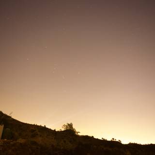 Hilltop Starlight