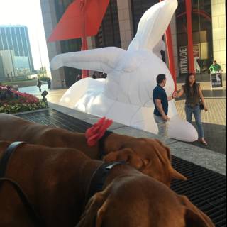 Puzzled Pup and the Inflatable Rabbit