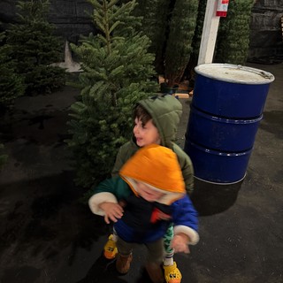 Children Selecting Christmas Tree at Festive Tree Lot