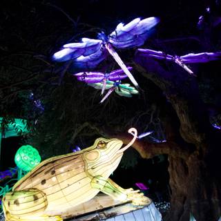 Illuminations of Nature - The Enchanting Frog Statue