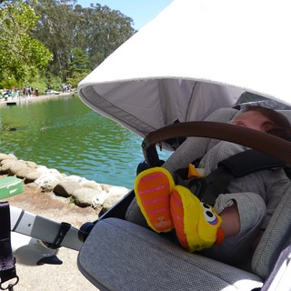 Baby Sleeping Peacefully in Park Stroller