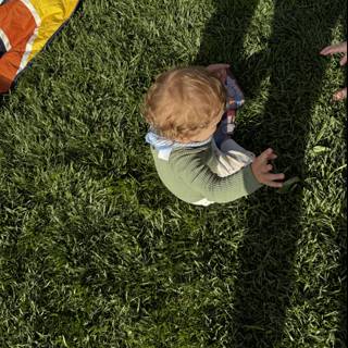 Little Explorers in the Garden