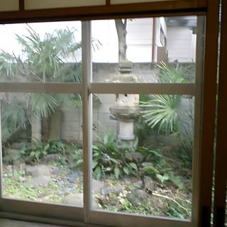 Garden View from Picture Window