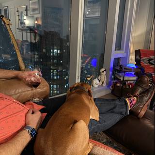 Man and Dog Relaxing on Couch