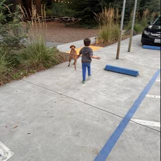 Evening Adventure in Guerneville