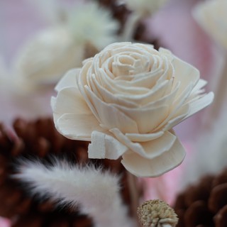 macro-still-life