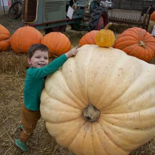 Harvest Joy