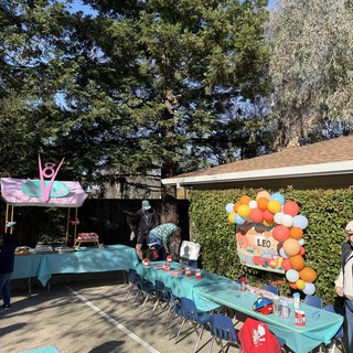 Colorful Outdoor Birthday Party Setup for Leo