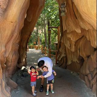 Sequoia Adventure at Disney
