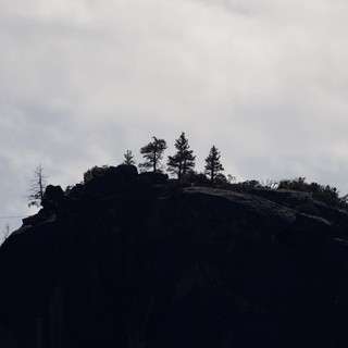 Silhouetted Rocky Summit with Pine Trees at Dusk