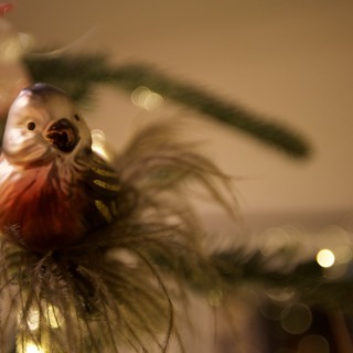 Singing Bird Christmas Ornament on Illuminated Tree