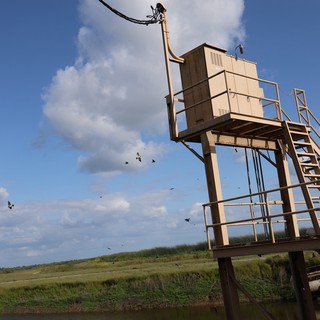 Elevated Monitoring Station in Wetland Grasslands at Dusk