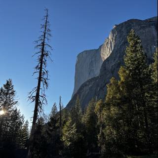 Half Dome basks in the sunny glory