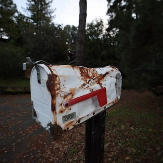Weathered White Mailbox in Forest Setting