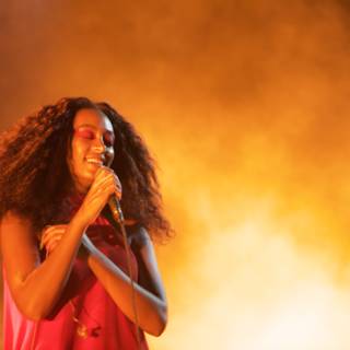 Solange Shines on the FYF Stage