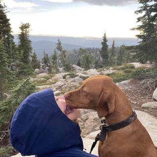 A Loving Moment between Person and Canine in the Desolation Wilderness