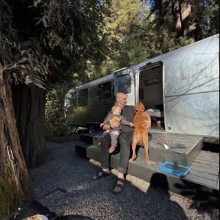 Serenity in the Redwoods