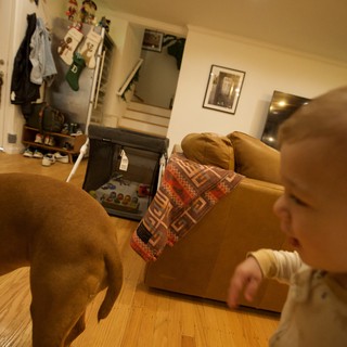 Young Child Playing in Cozy Living Room