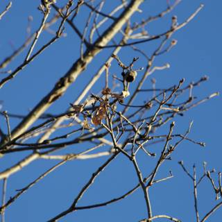 Winter's Embrace at Firefall Ranch