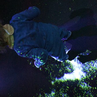 Bioluminescent Coral and Sleeping Sea Turtle Under UV Light