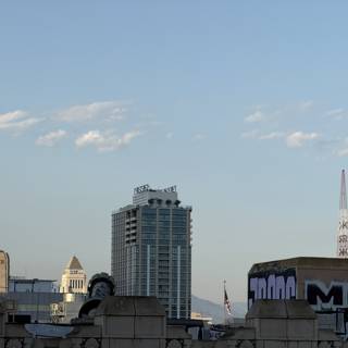 Urban Tranquility in Downtown LA