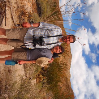 ocotillo