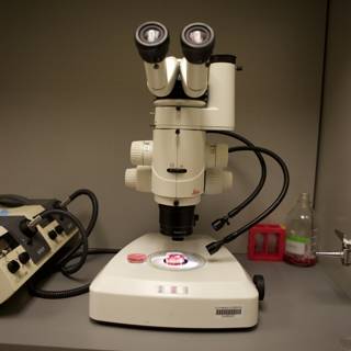 Microscopy in Action