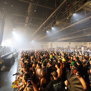 Massive Crowd Surges at Wobbleland 2026 Festival